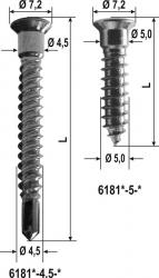Special screw for security lock plates